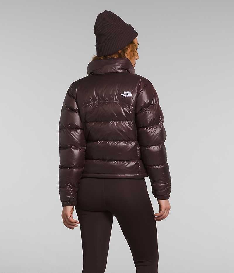 Doudoune The North Face 2000 Retro Nuptse Femme Marron | PARIS PTJBG