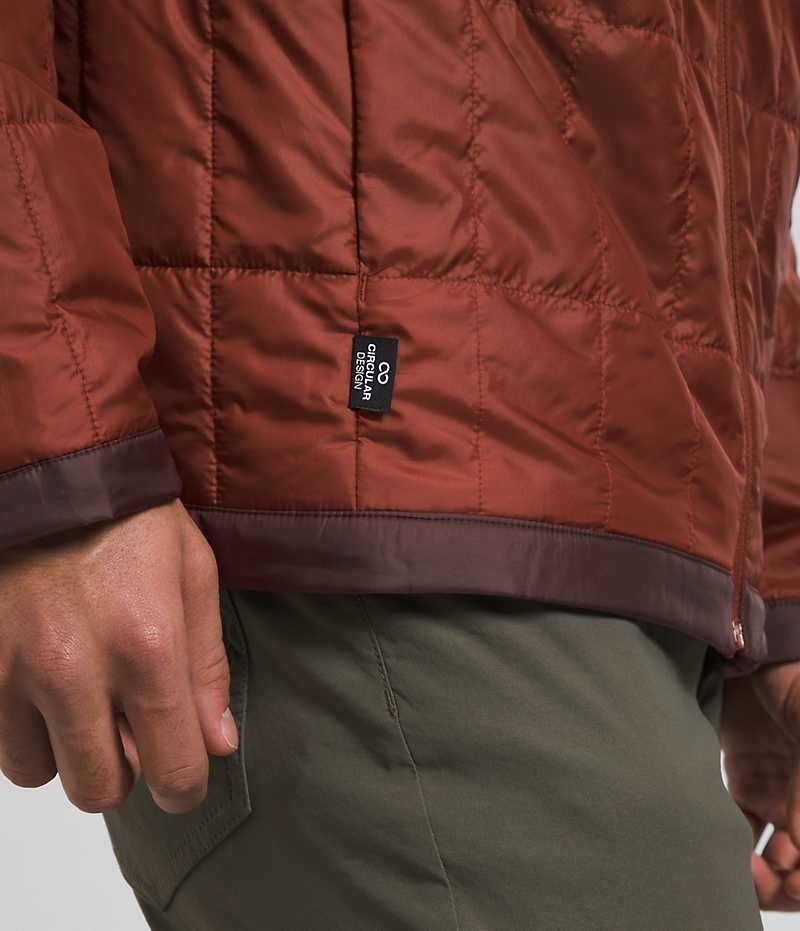 Doudoune The North Face Circaloft Homme Marron | PARIS EXJSB