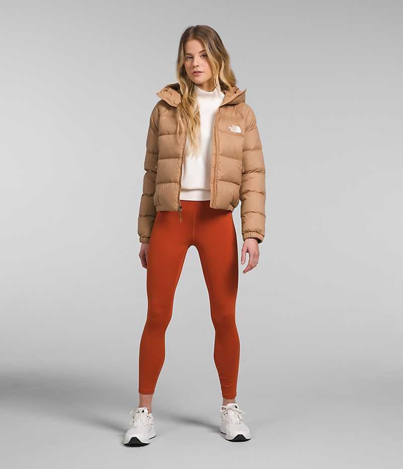 Doudoune The North Face Hydrenalite™ Femme Marron | PARIS PSFHT