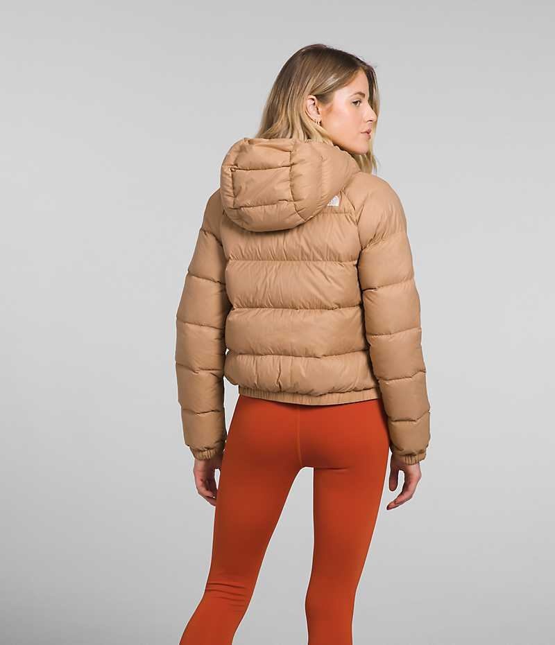 Doudoune The North Face Hydrenalite™ Femme Marron | PARIS PSFHT