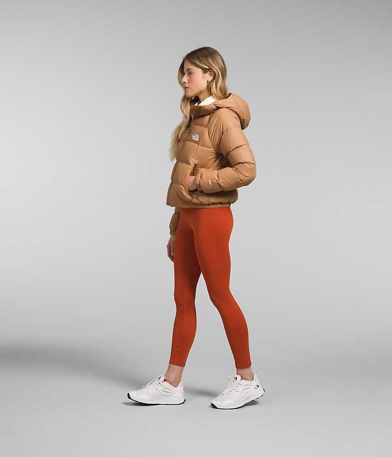 Doudoune The North Face Hydrenalite™ Femme Marron | PARIS PSFHT