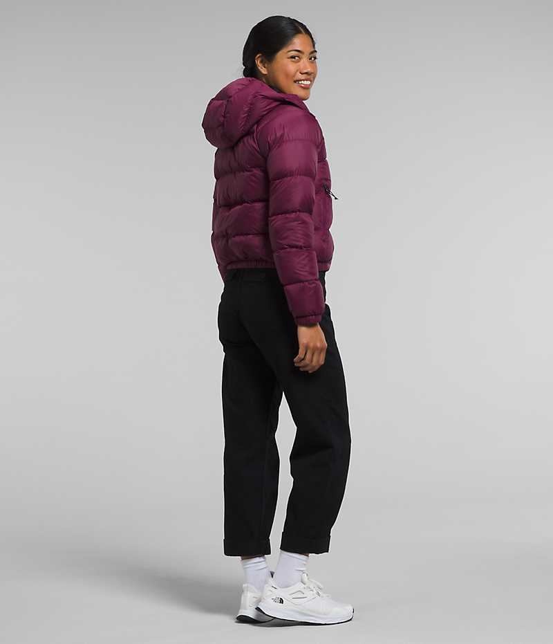 Doudoune The North Face Hydrenalite™ Femme Fushia | FR JBVMQ