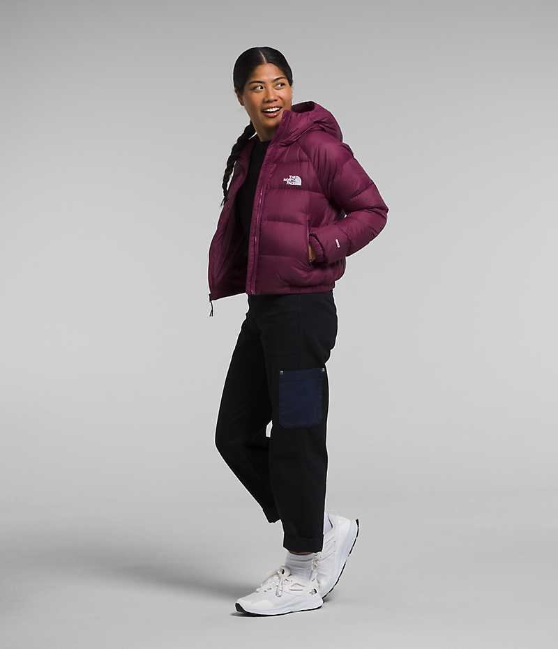 Doudoune The North Face Hydrenalite™ Femme Fushia | FR JBVMQ