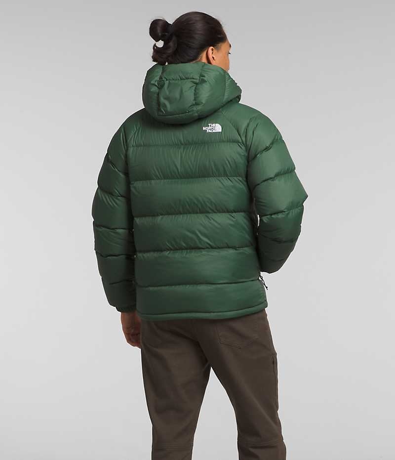 Doudoune The North Face Hydrenalite™ Hoodie Homme Vert | FRANCE FSAHM