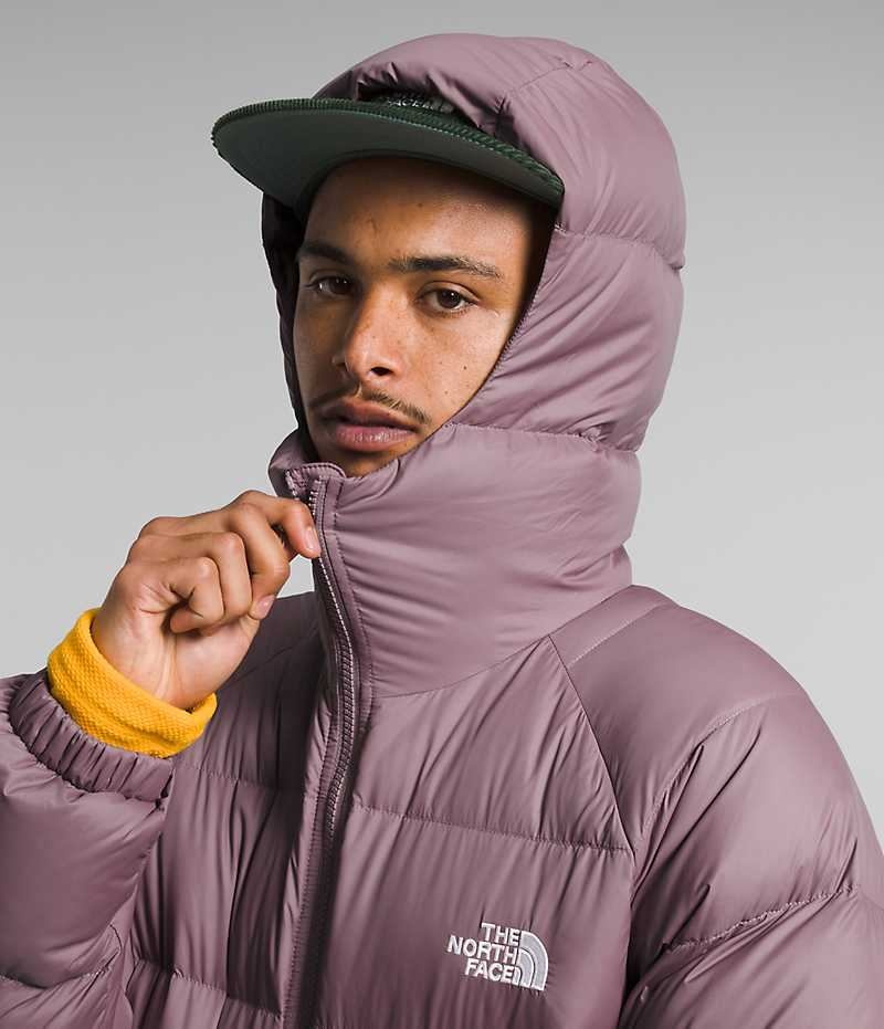 Doudoune The North Face Hydrenalite™ Hoodie Homme Fushia | PARIS QPVDE