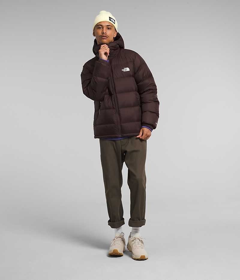 Doudoune The North Face Hydrenalite™ Hoodie Homme Bordeaux | FR HNMZB