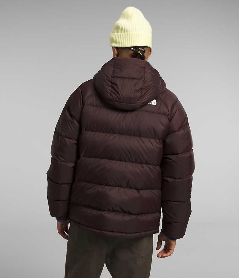 Doudoune The North Face Hydrenalite™ Hoodie Homme Bordeaux | FR HNMZB