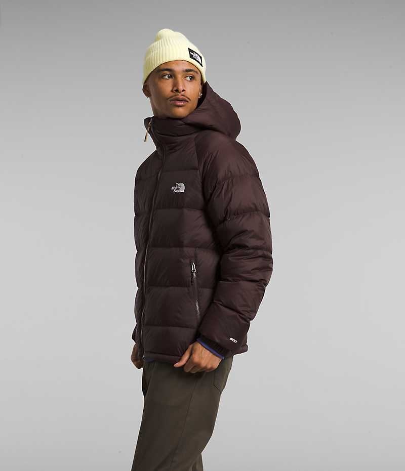 Doudoune The North Face Hydrenalite™ Hoodie Homme Bordeaux | FR HNMZB