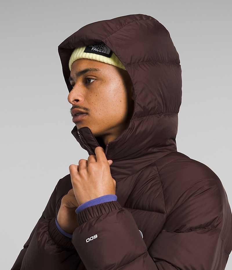 Doudoune The North Face Hydrenalite™ Hoodie Homme Bordeaux | FR HNMZB