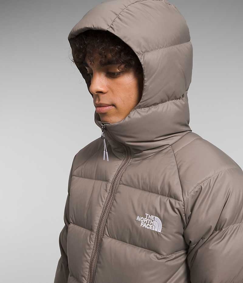 Doudoune The North Face Hydrenalite™ Hoodie Homme Marron | FRANCE GQCVB