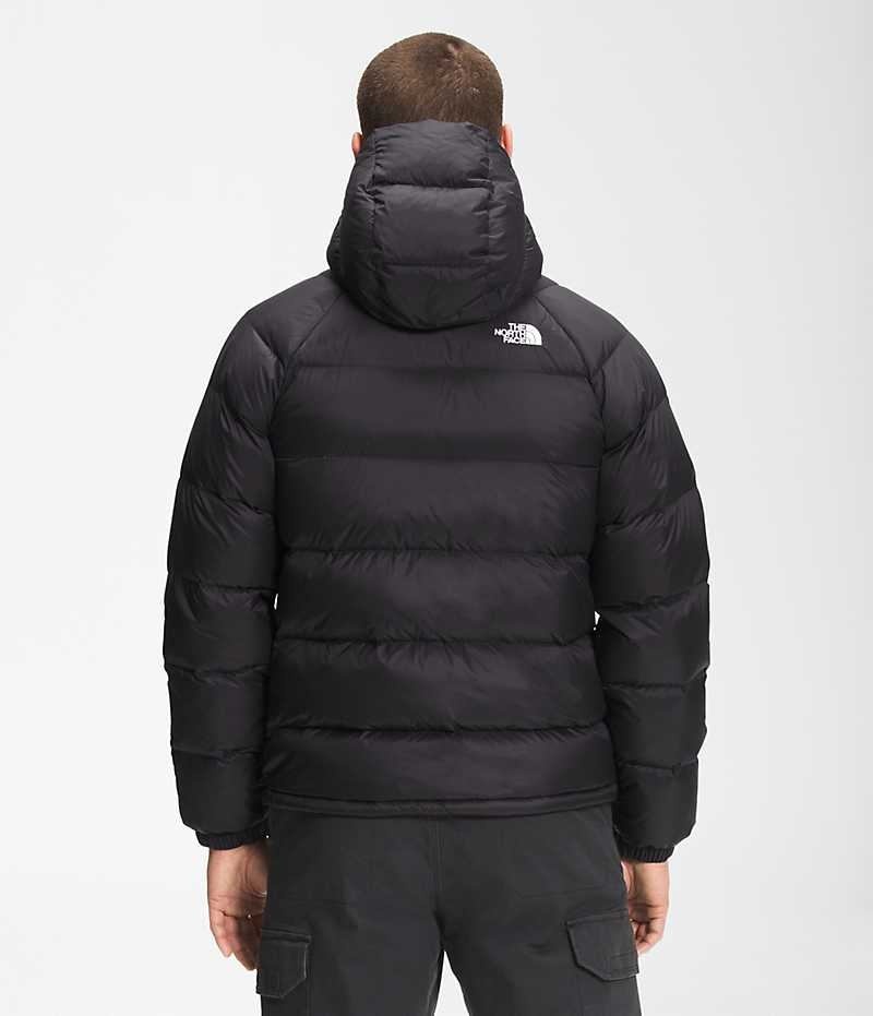 Doudoune The North Face Hydrenalite™ Hoodie Homme Noir | PARIS RDFUJ