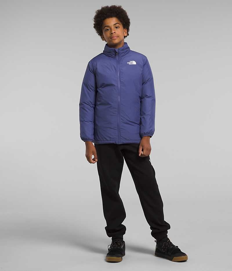 Doudoune The North Face North Triclimate® Garcon Bleu | FRANCE RAWFZ