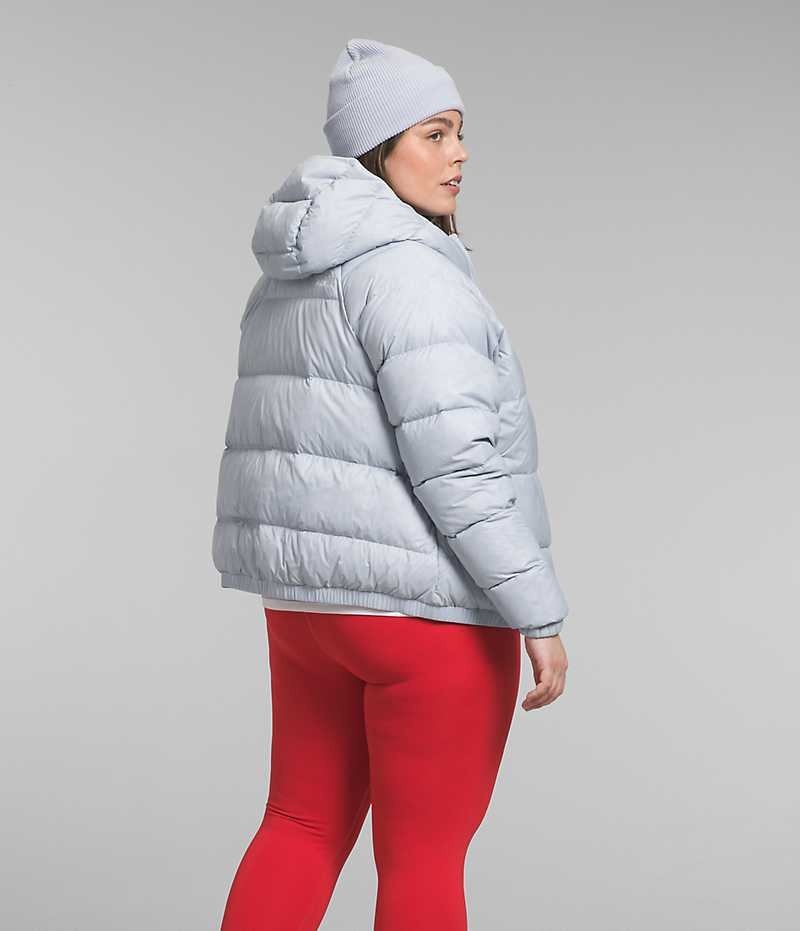 Doudoune The North Face Plus Hydrenalite™ Hoodie Femme Grise | PARIS NPWKR