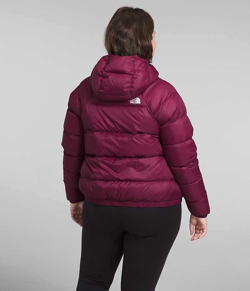 Doudoune The North Face Plus Hydrenalite™ Hoodie Femme Rouge | FRANCE IVGRO