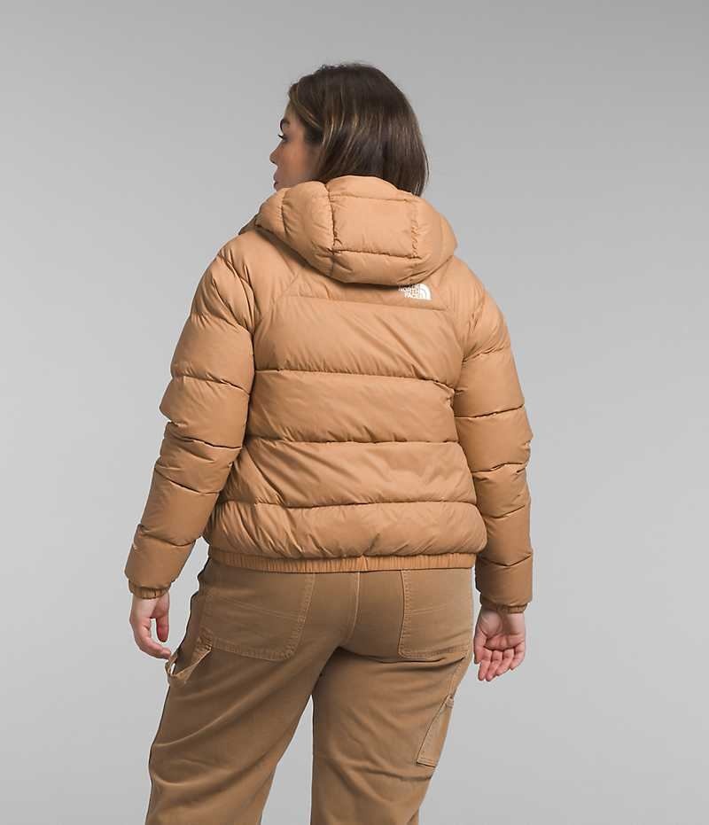 Doudoune The North Face Plus Hydrenalite™ Hoodie Femme Kaki | PARIS AITOB