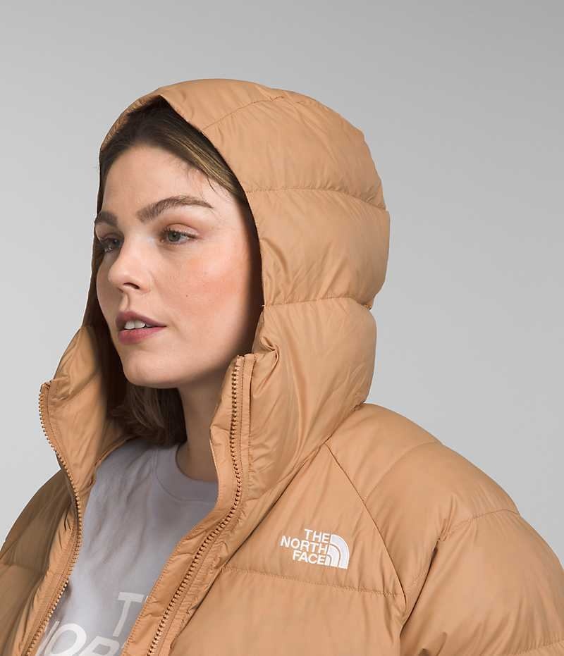 Doudoune The North Face Plus Hydrenalite™ Hoodie Femme Kaki | PARIS AITOB