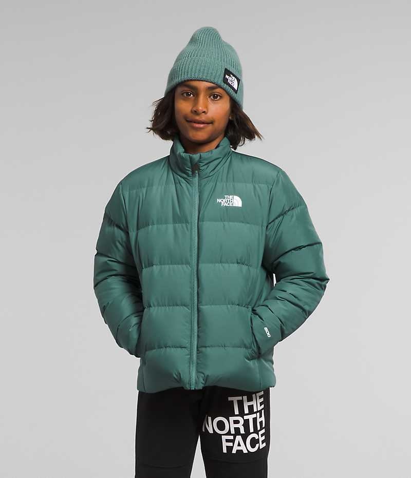 Doudoune The North Face Reversible North Garcon Vert | PARIS PSFVY