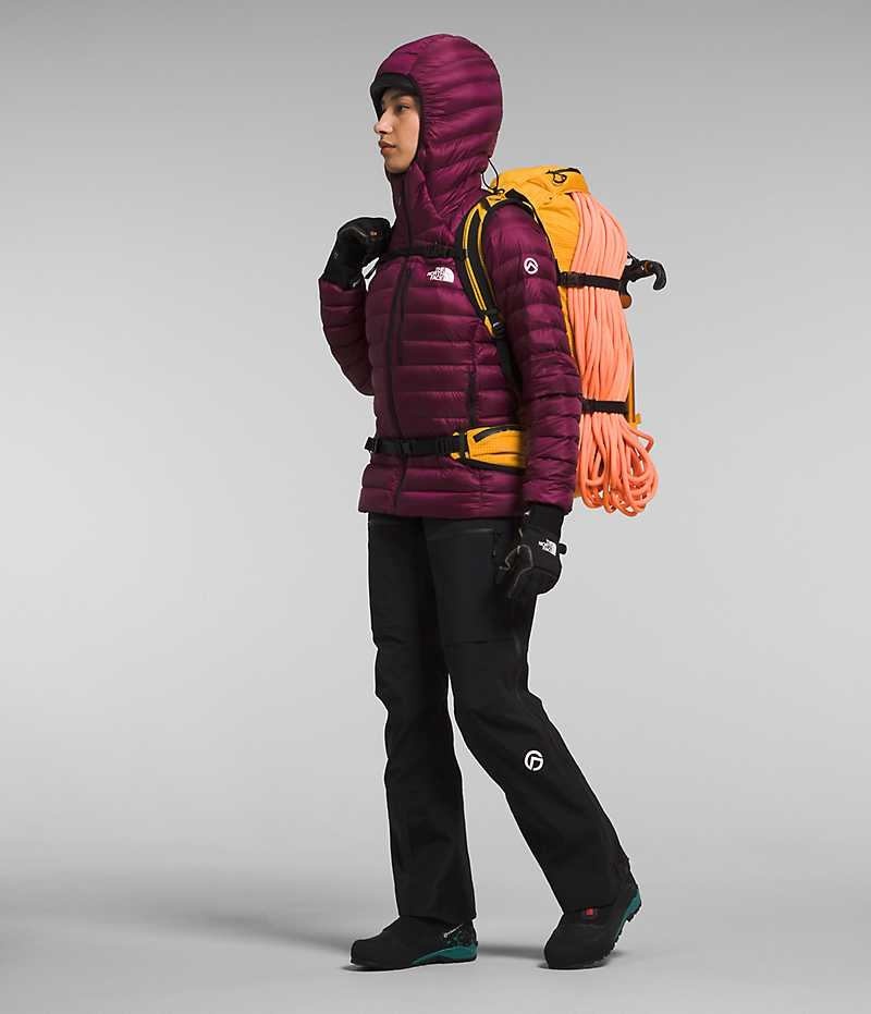 Doudoune The North Face Summit Series Breithorn Hoodie Femme Bordeaux | PARIS XBONG