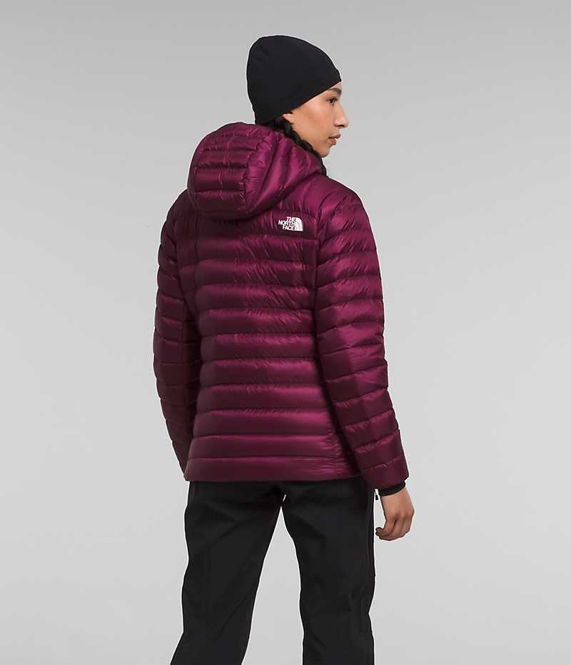 Doudoune The North Face Summit Series Breithorn Hoodie Femme Bordeaux | PARIS XBONG