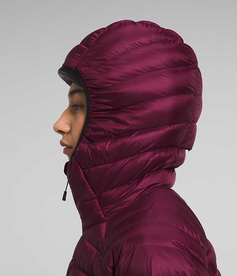 Doudoune The North Face Summit Series Breithorn Hoodie Femme Bordeaux | PARIS XBONG