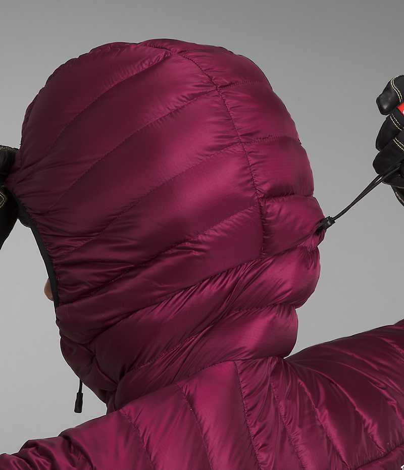 Doudoune The North Face Summit Series Breithorn Hoodie Femme Bordeaux | PARIS XBONG