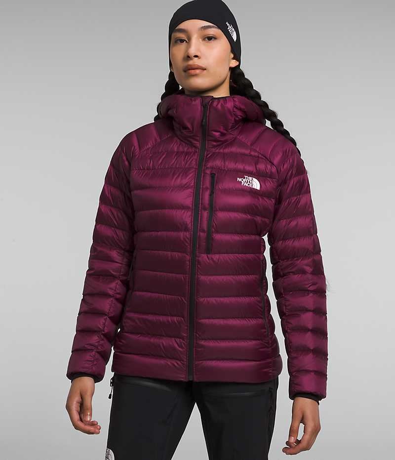 Doudoune The North Face Summit Series Breithorn Hoodie Femme Bordeaux | PARIS XBONG