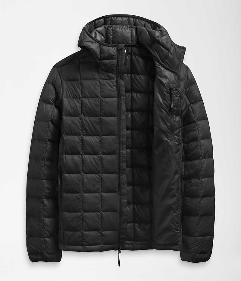 Doudoune The North Face ThermoBall™ Eco Hoodie 2.0 Homme Noir | FR UGEMW