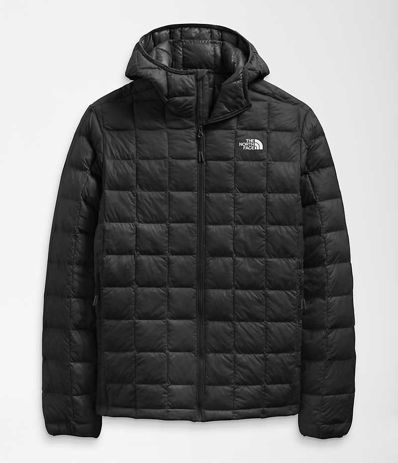 Doudoune The North Face ThermoBall™ Eco Hoodie 2.0 Homme Noir | FR UGEMW