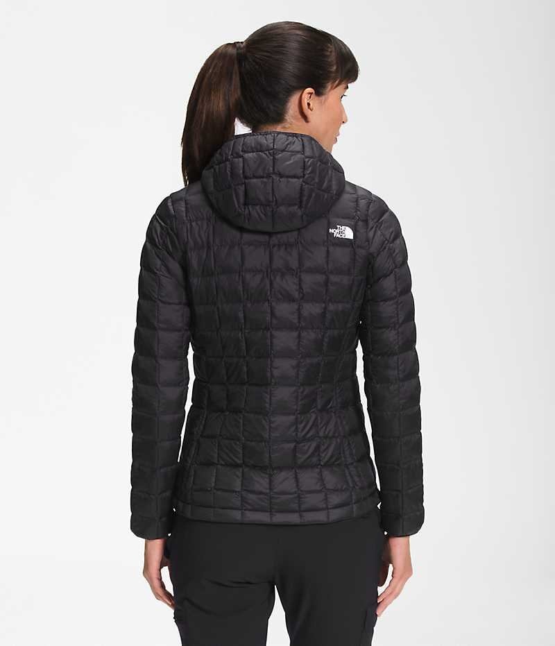 Doudoune The North Face ThermoBall™ Eco Hoodie 2.0 Femme Noir | FRANCE DRVJM