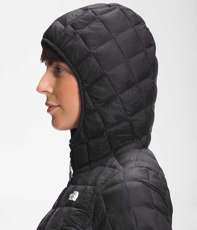 Doudoune The North Face ThermoBall™ Eco Hoodie 2.0 Femme Noir | FRANCE DRVJM