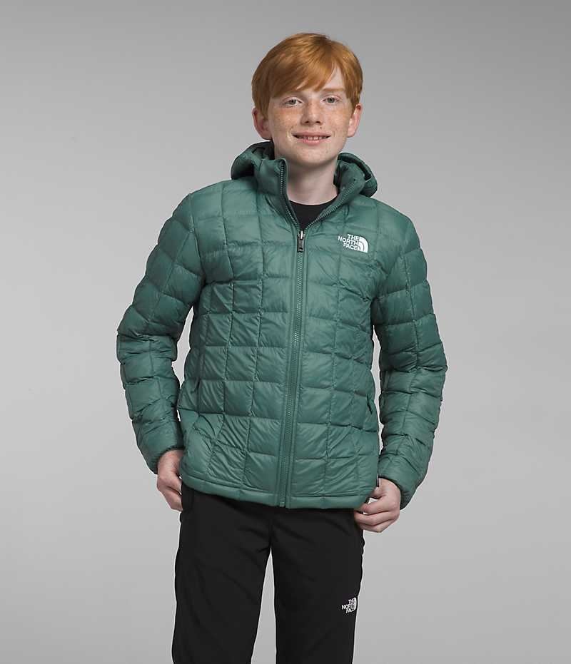 Doudoune The North Face ThermoBall™ Encapuchonné Garcon Vert | FR RWXKD