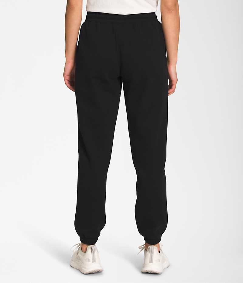 Pantalon En Molleton The North Face Half Dome Femme Noir | FRANCE AKQLV