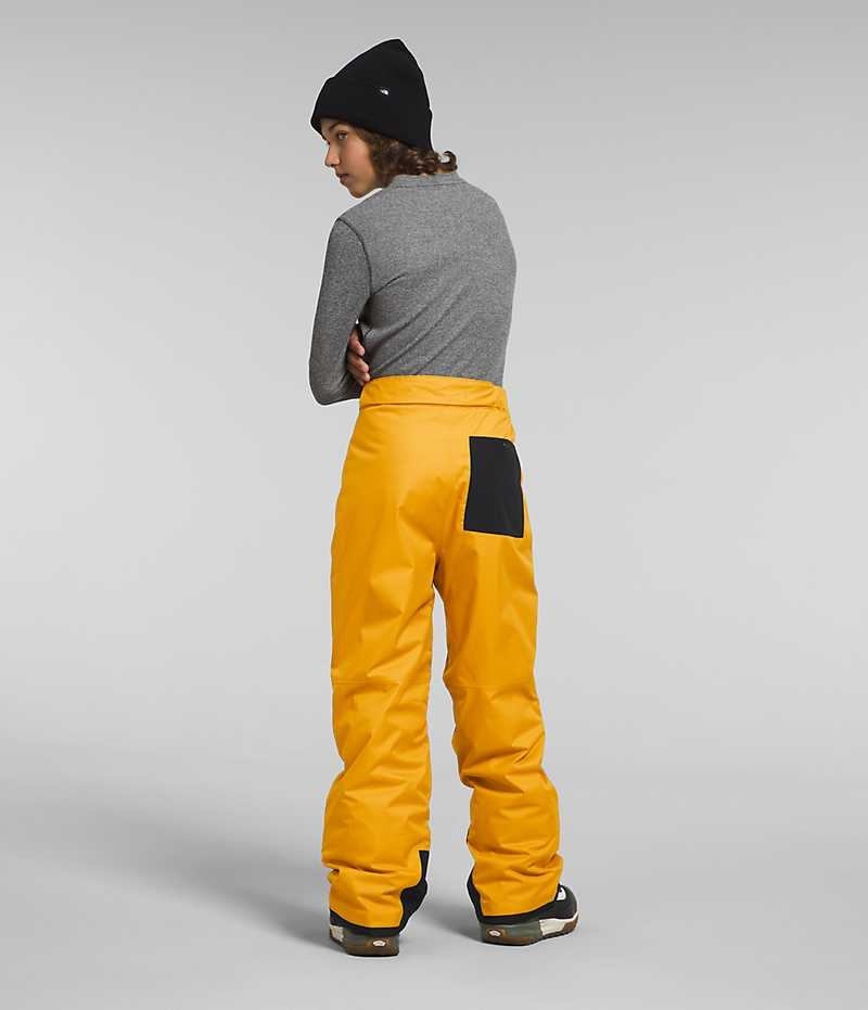 Pantalon Isolé The North Face Freedom Garcon Doré | PARIS FPCWQ