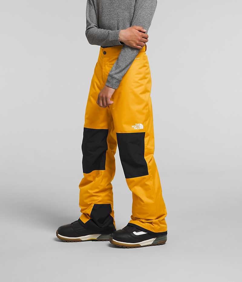 Pantalon Isolé The North Face Freedom Garcon Doré | PARIS FPCWQ