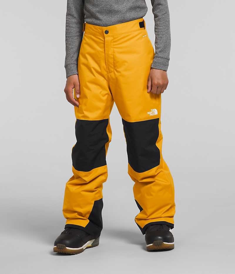 Pantalon Isolé The North Face Freedom Garcon Doré | PARIS FPCWQ