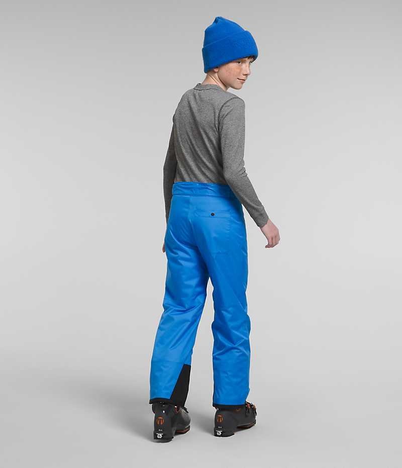 Pantalon Isolé The North Face Freedom Garcon Bleu | FR INVBQ