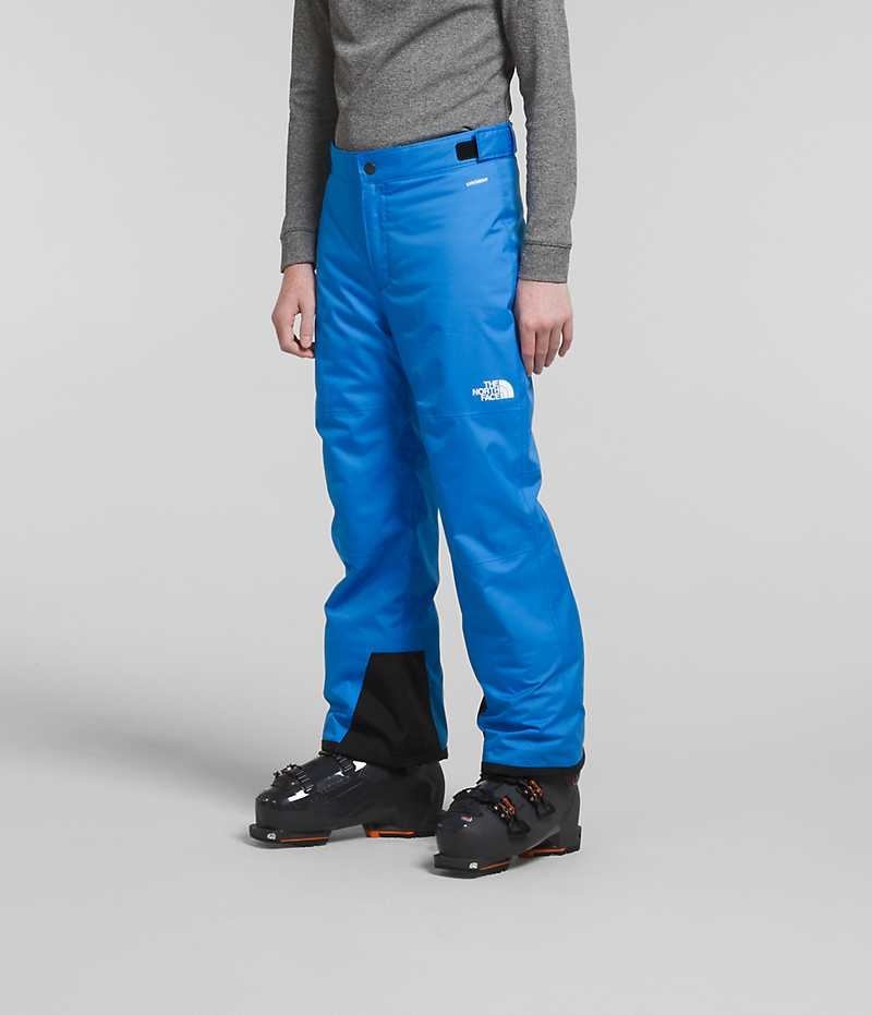 Pantalon Isolé The North Face Freedom Garcon Bleu | FR INVBQ