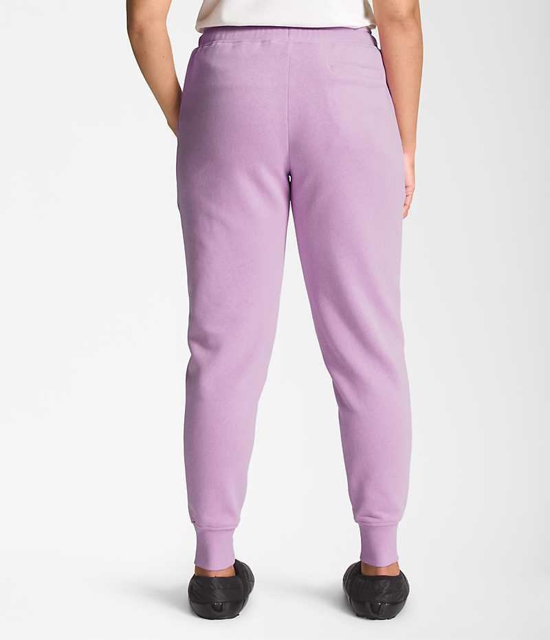 Pantalon Jogging The North Face Box NSE Femme Lavande | FR MXLWK