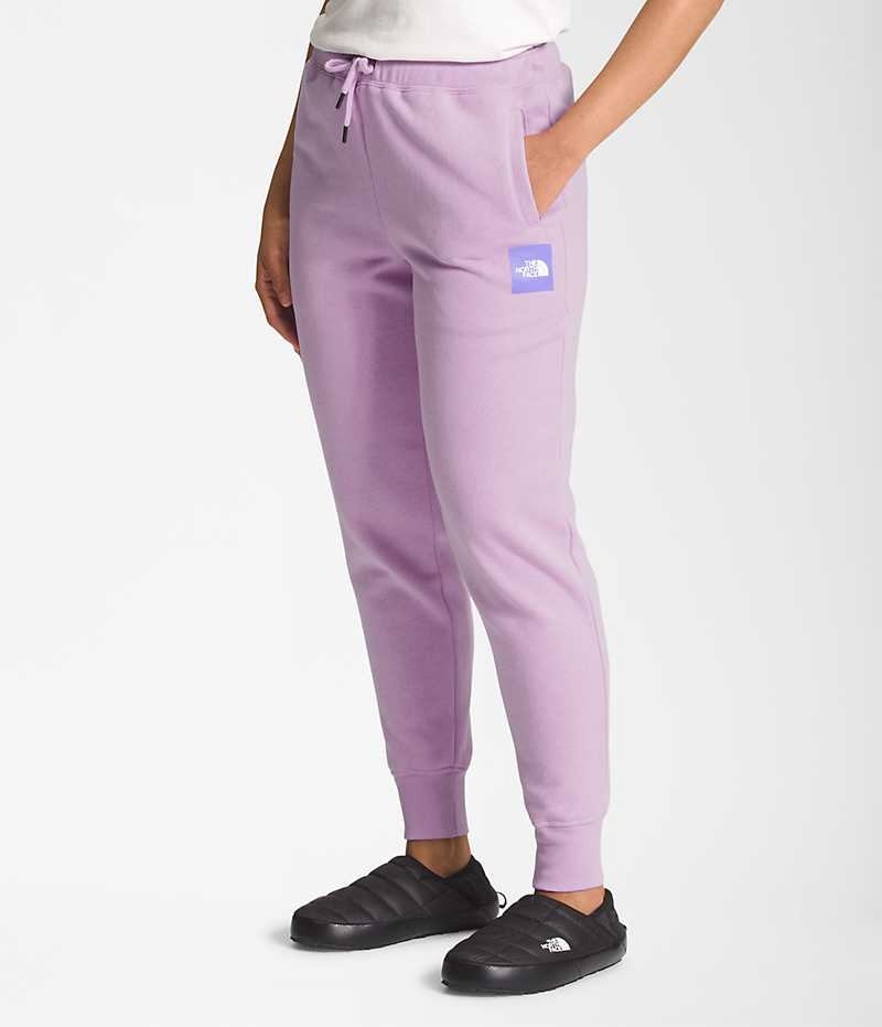 Pantalon Jogging The North Face Box NSE Femme Lavande | FR MXLWK