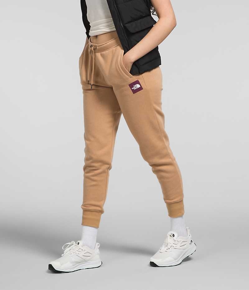 Pantalon Jogging The North Face Box NSE Femme Kaki | FR GUKDO