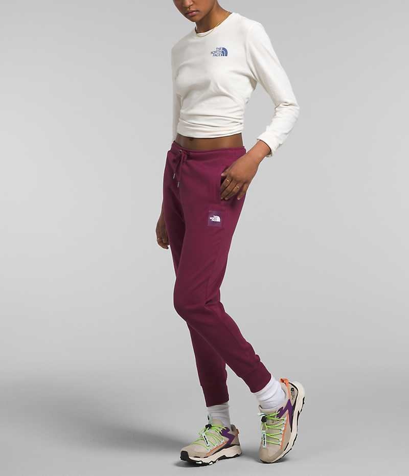 Pantalon Jogging The North Face Box NSE Femme Bordeaux | FRANCE EPXNB