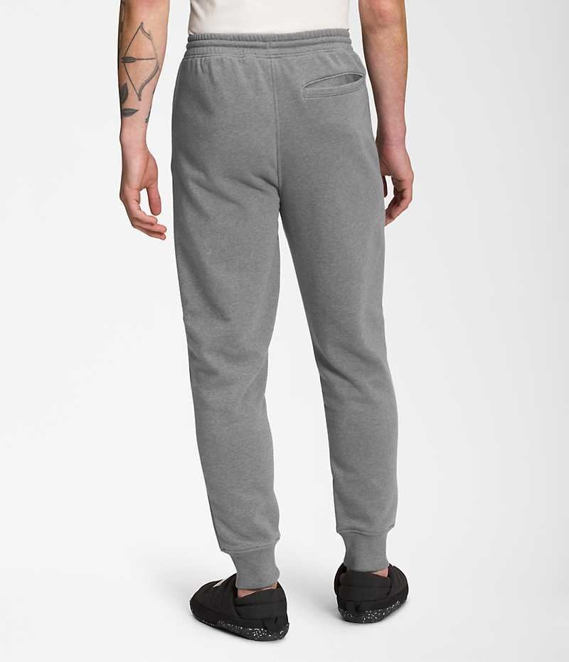 Pantalon Jogging The North Face Box NSE Homme Grise | FRANCE SXAGU