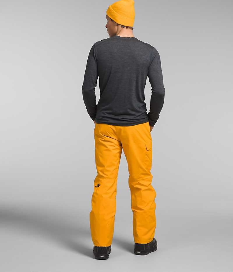 Pantalon The North Face Freedom Homme Doré | FR UPKVX