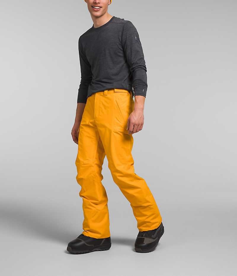 Pantalon The North Face Freedom Homme Doré | FR UPKVX