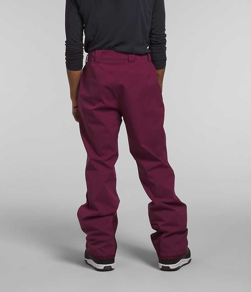 Pantalon The North Face Freedom Stretch Homme Fushia | PARIS PIZNA