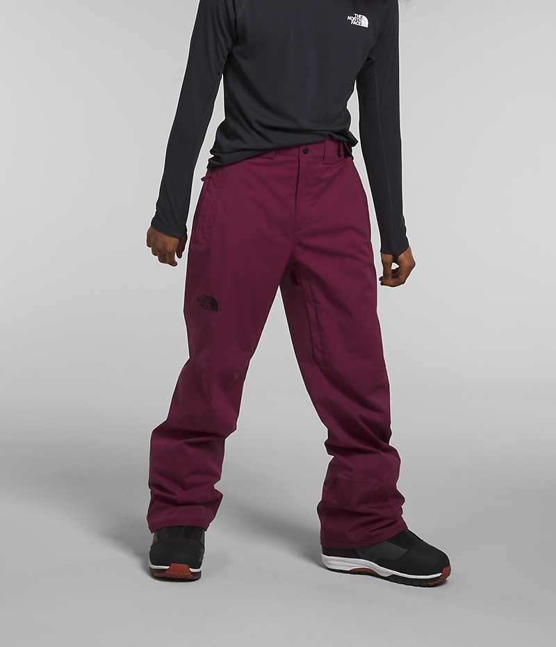 Pantalon The North Face Freedom Stretch Homme Fushia | PARIS PIZNA