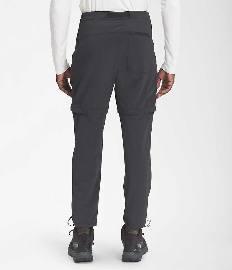 Pantalon The North Face Paramount Pro Convertible Homme Noir | FRANCE VTGJD