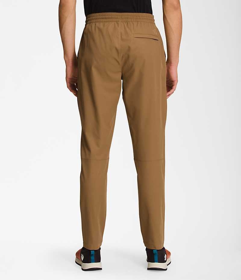 Pantalon The North Face Standard Tapered Homme Marron | FR BVQCO