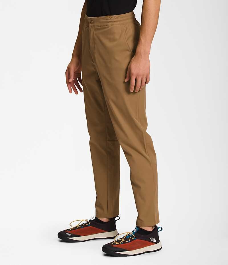 Pantalon The North Face Standard Tapered Homme Marron | FR BVQCO