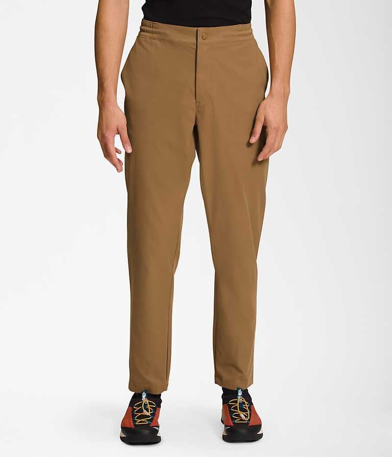 Pantalon The North Face Standard Tapered Homme Marron | FR BVQCO